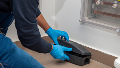 Protecting Homes and Businesses with Professional Pest Control in Chelmsford