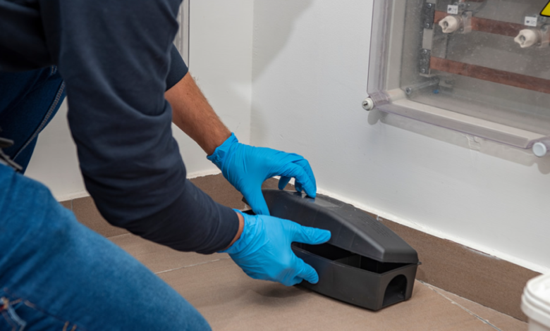 Protecting Homes and Businesses with Professional Pest Control in Chelmsford