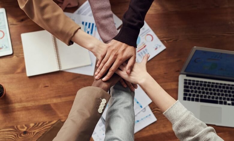 identifier cohesion summary report