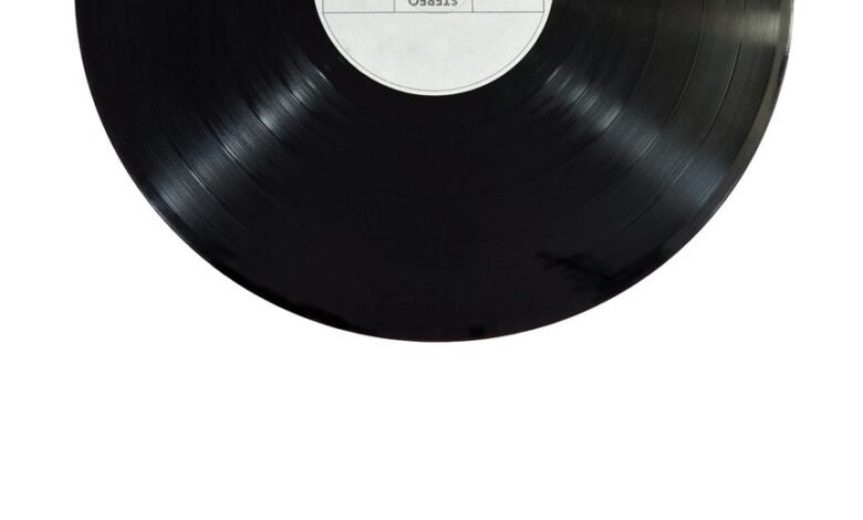 identifier governance record overview