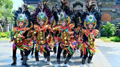 integrated identifier performance summary