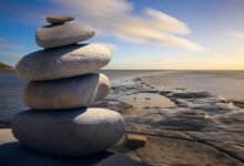 organizational identifier stability assessment