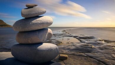 organizational identifier stability assessment