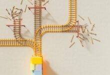 strategic number alignment proposal