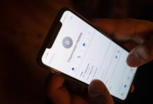 contact line information provided