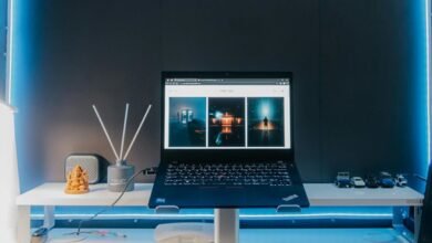 lunar contact desk number