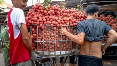 smart authority market lift