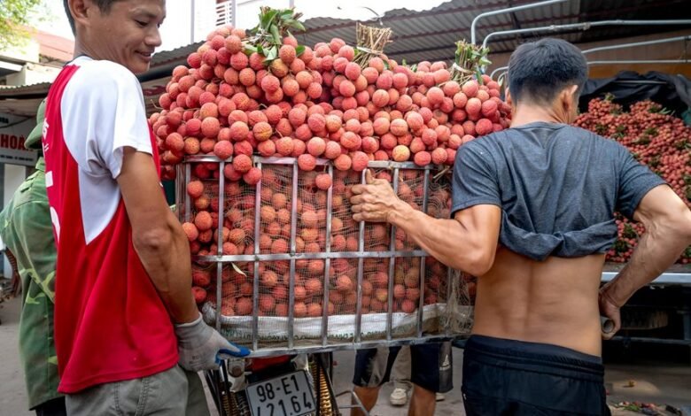 smart authority market lift