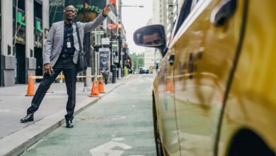 vertex lane leadership surge