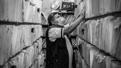 website overview and monitoring